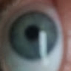 Meet your Posher, Dennis